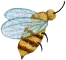 Rysunek pszczoły